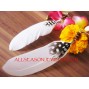 Natural Feather Earring